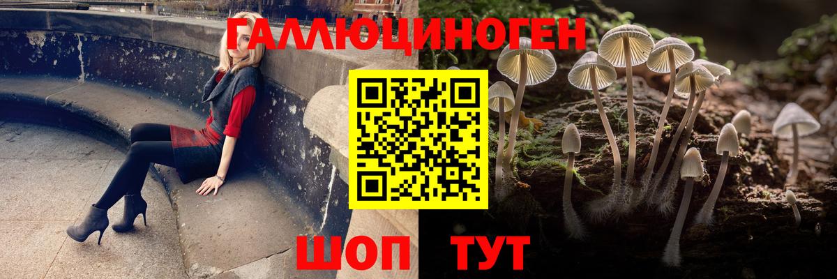 Псилоцибиновые грибы мухоморы  Галлюциногенные грибы прущие грибы  Сорочинск  Вход с VPN 